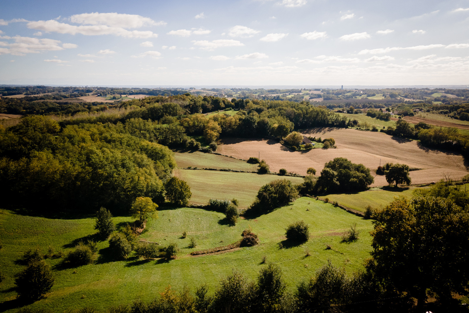 collines_landaises.jpg