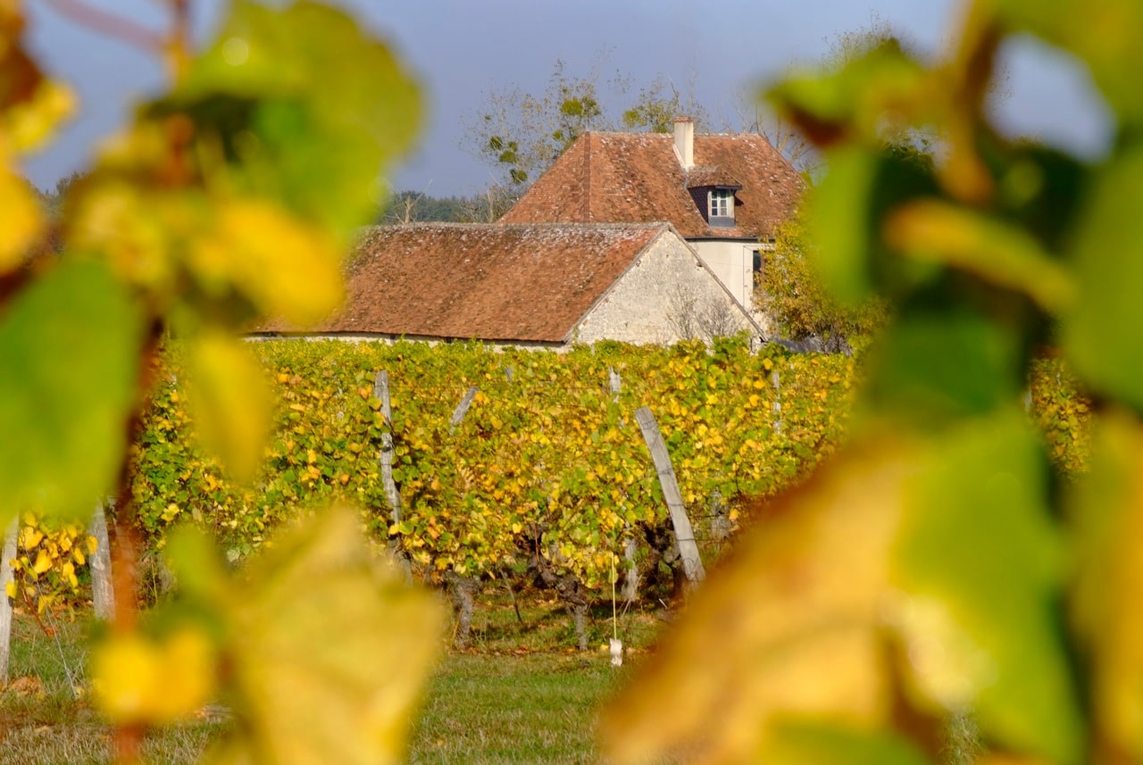 Domaine Daridan